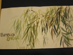 7. November 2013 169