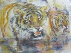 Köstliches Wasser im heissen Jungel