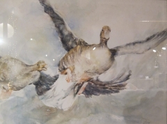 Und sie öffnen die Flügel