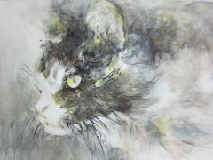 Aufmerksame Samtpfote