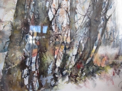 Sonnenaufgang im Wald